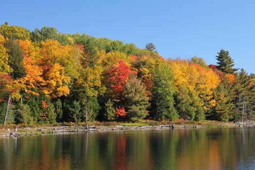 Bright coloured autumn trees reflecting on calm lake, Ontario, Canada
