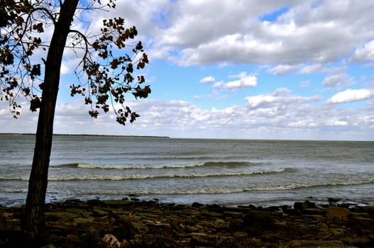 Rocks on beach