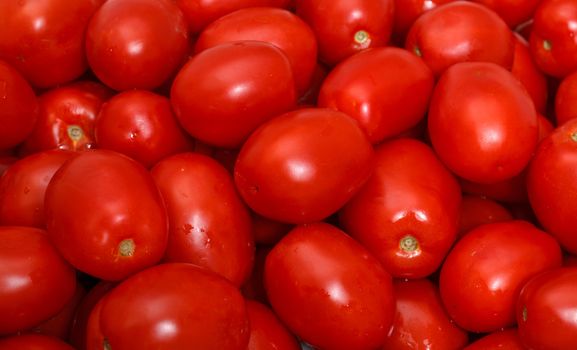 Lot of Red Tomatoes background, closeup