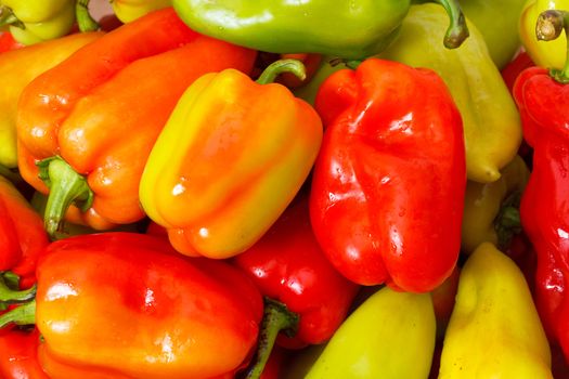 Lot of Multicolored Sweet Pepper background, closeup