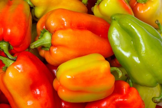 Lot of Multicolored Sweet Pepper background, closeup