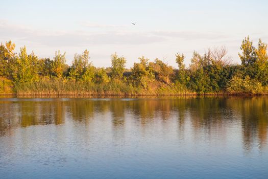 yellow autumn in the river