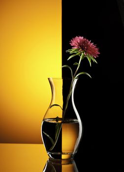 red flower in vase over black and white background