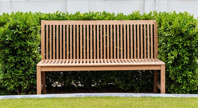 Wooden bench in green bush in front of white wall