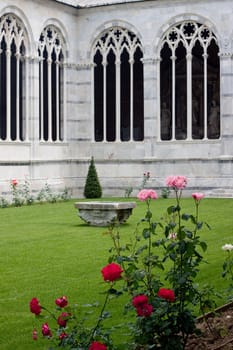 Red and pink roses in the inner yard of Campo Santo in Pisa
