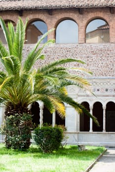 A palm tree in the inner yard in archbasilica os St. John Lateran in Rome
