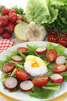 colorful mixed salad with poached egg