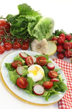 colorful mixed salad with poached egg