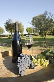 wine and grapes on a barrel