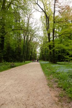 Kornik Arboretum  - the largest and oldest arboretum in Poland. It was founded in the first mid- nineteenth century