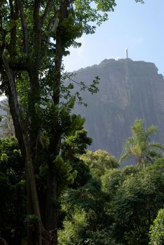 The Corcovado Christ Statue view
