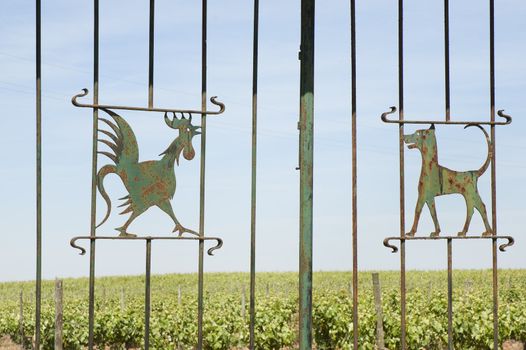 Wrought iron gate decorated with a cock and a dog, Borba, Alentejo, Portugal