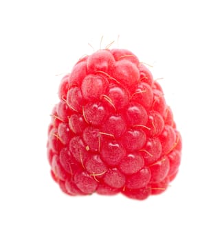 One fresh raspberry on white background. Shallow depth of field.