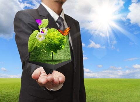 Businessman holding a creative box of tree in his hand with green meadow on the background