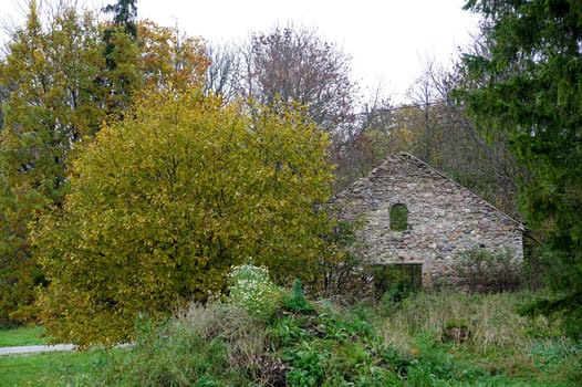 Ruins of an old building and trees