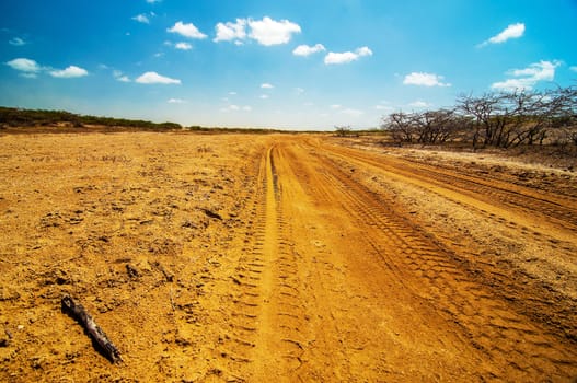 A well used dirt road running though a desolate dry desert.