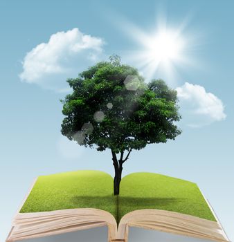 Book with tree on natural background. education concept