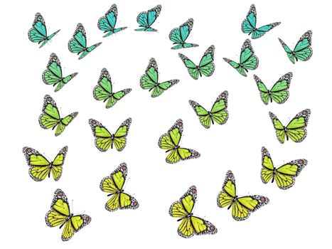 Butterfly isolated on white. 3d illustration.