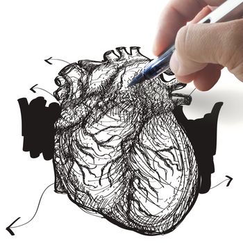 hand draws heart