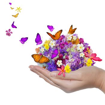 hand holds flower spill many flowers and butterfly