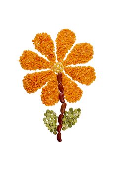 Illustration of flower made of beans and lentils