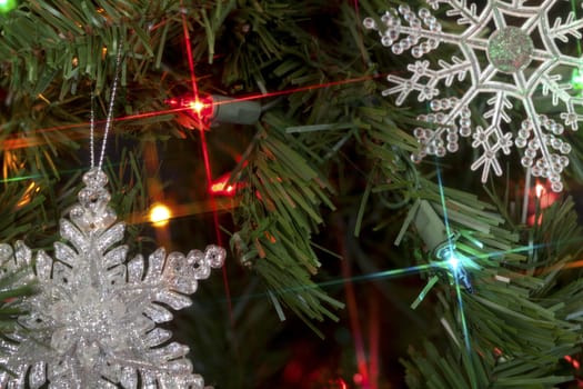 Star filtered lights in a Christmas tree.