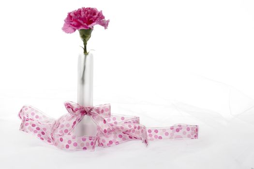 Horizontal image of a transparent flower vase with a pink carnation tied with a pink bow