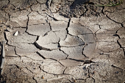 Dried soil cracking under the scorching sun