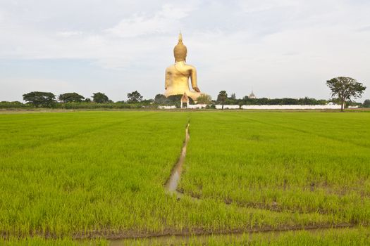 Big buddha statue at Wat muang, Thailand