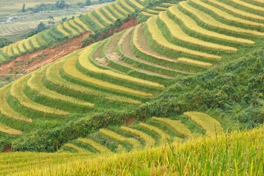 Rice terraces and cottage in the mountains in Sapa, Vietnam