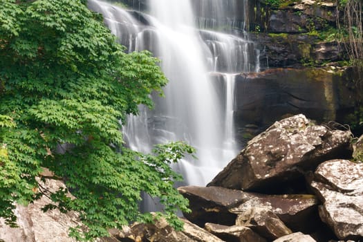 Beautiful waterfall and green maple tree in rain forest  at Thailand.