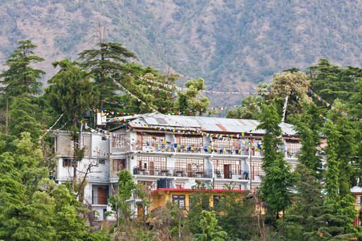 Mcleod Ganj, Dharamsala, Himachal Pradesh, India.