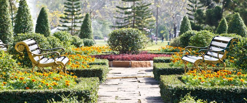 Two benches in the garden near Bangkok Thailand.