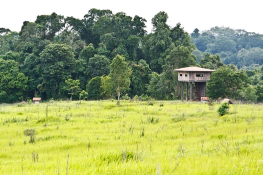 Animal view tower at Kaoyai National Park, Thailand.