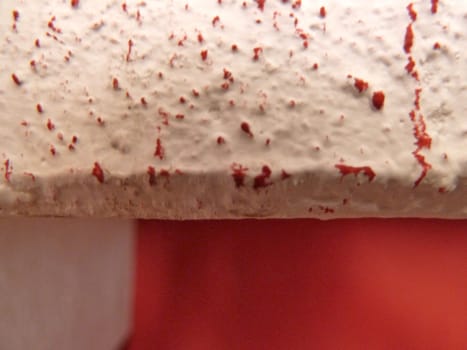 red amd white speckled edge as a background