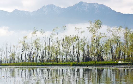 Water village,View point from Srinagar, Kashmir, India 