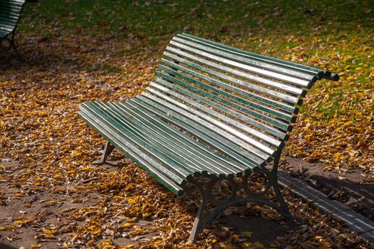 A green wooden bench and brown leaves on the ground in Montsouris Park, in Paris on a sunny, clear autumn day