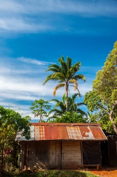 An old shack in the jungle.