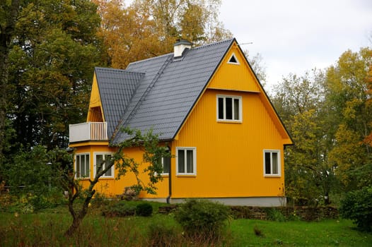 The house on a background of the trees