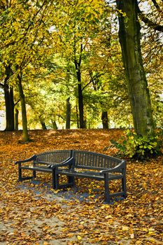 Park in autumn with benches made of recycled plastics - veritcal