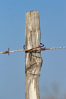 Close up of a wire barbed fence with wood in blue background