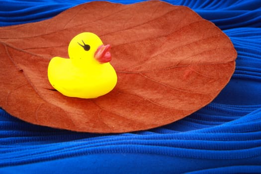 Duck toy on a leaf and on a blue textile (simulation of water)