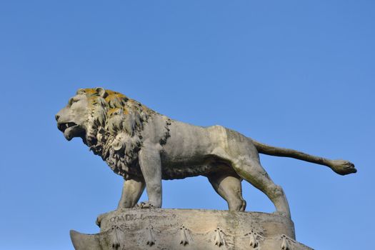 Stone Lion outdoors