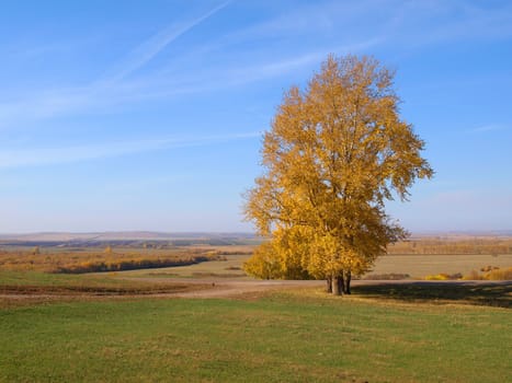 Autumn landscape