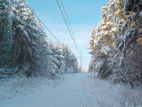 Power line in the winter forest. Trees under snow.