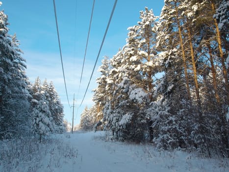 Power line in the winter forest. Trees under snow.