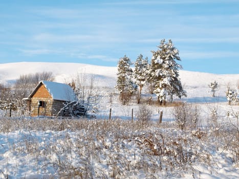 Winter landscape with snow mountain and pines