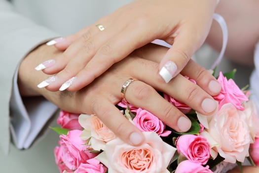 Hands of the groom and the bride with wedding rings - the newlyweds