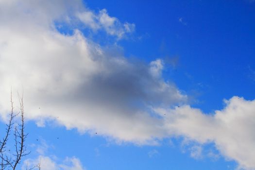 clouds on a beautiful sky, summer landscape, nature