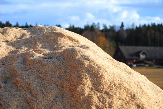 A pile of sawdust.